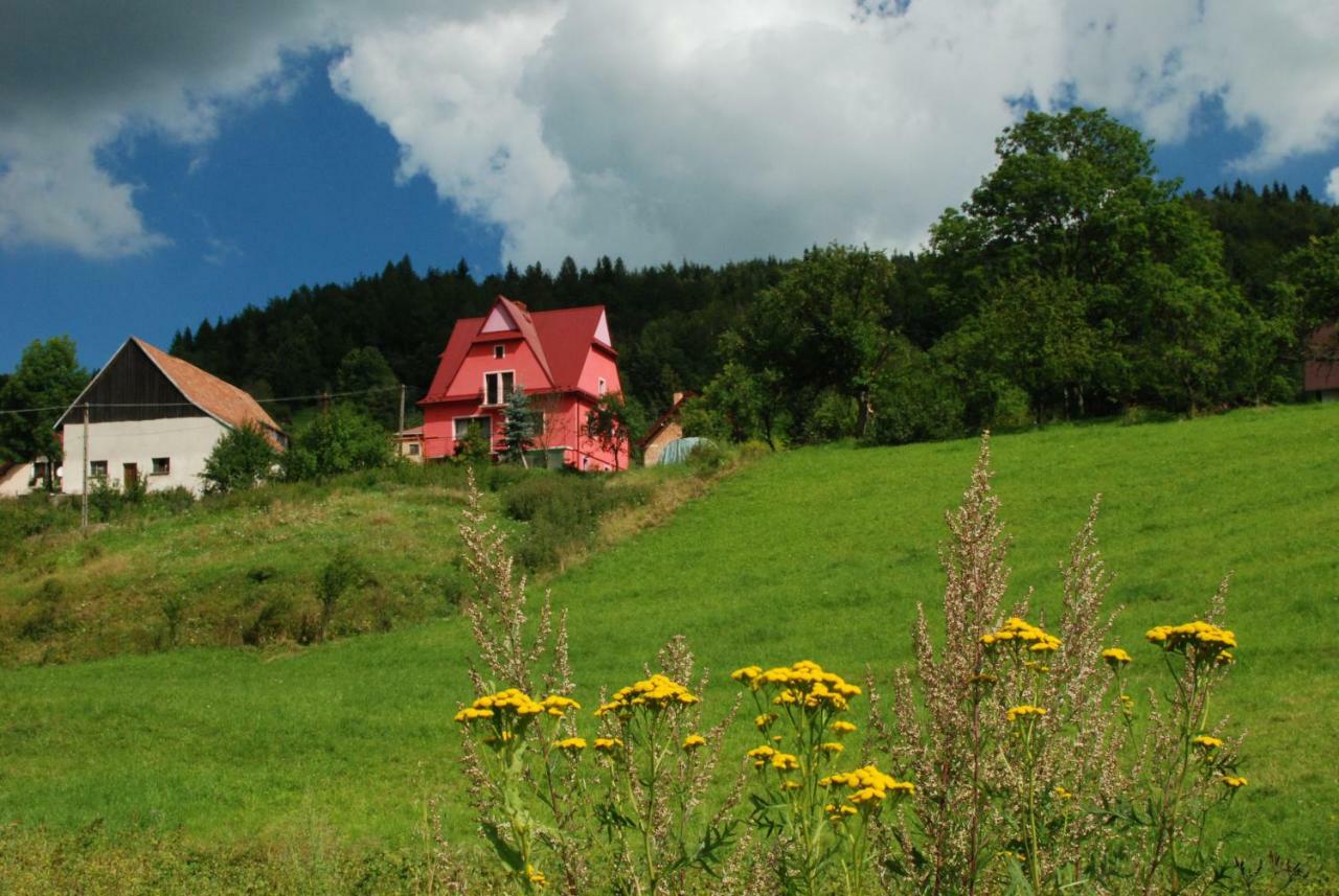 Malinowy Domek Mlynczyska Exteriör bild