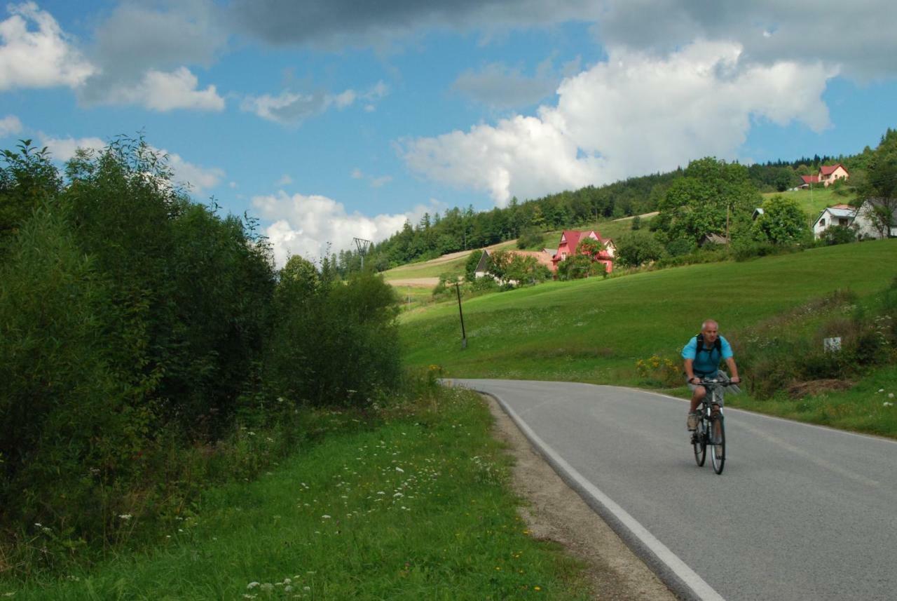 Malinowy Domek Mlynczyska Exteriör bild
