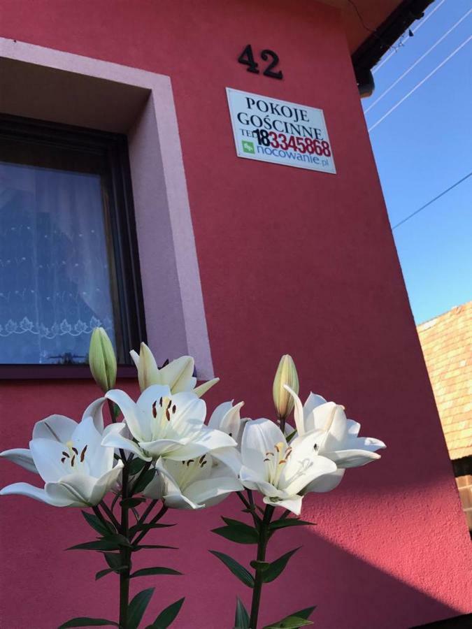 Malinowy Domek Mlynczyska Exteriör bild