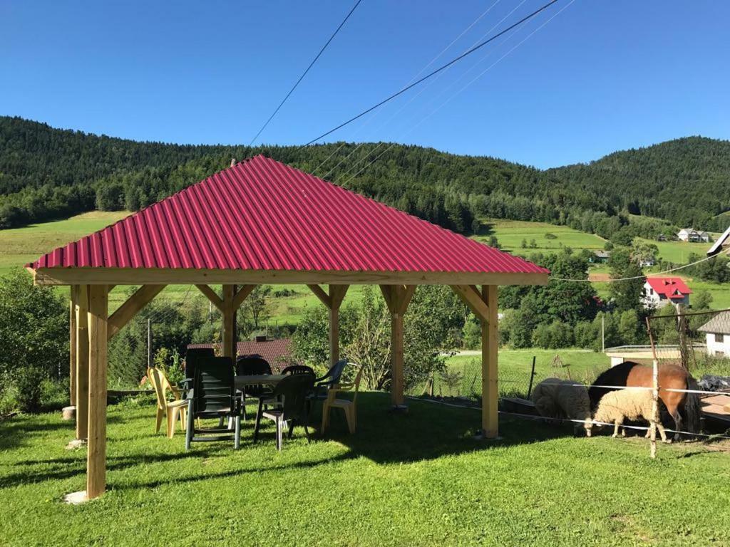 Malinowy Domek Mlynczyska Exteriör bild