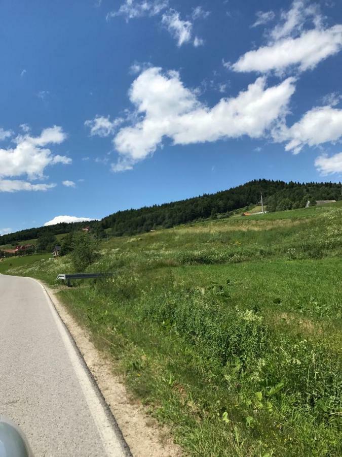 Malinowy Domek Mlynczyska Exteriör bild