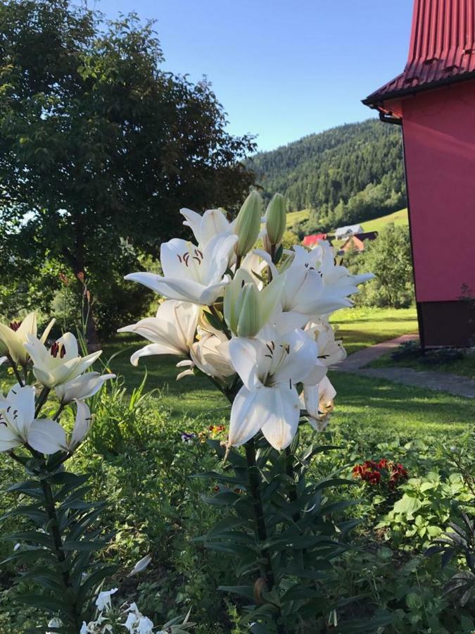 Malinowy Domek Mlynczyska Exteriör bild