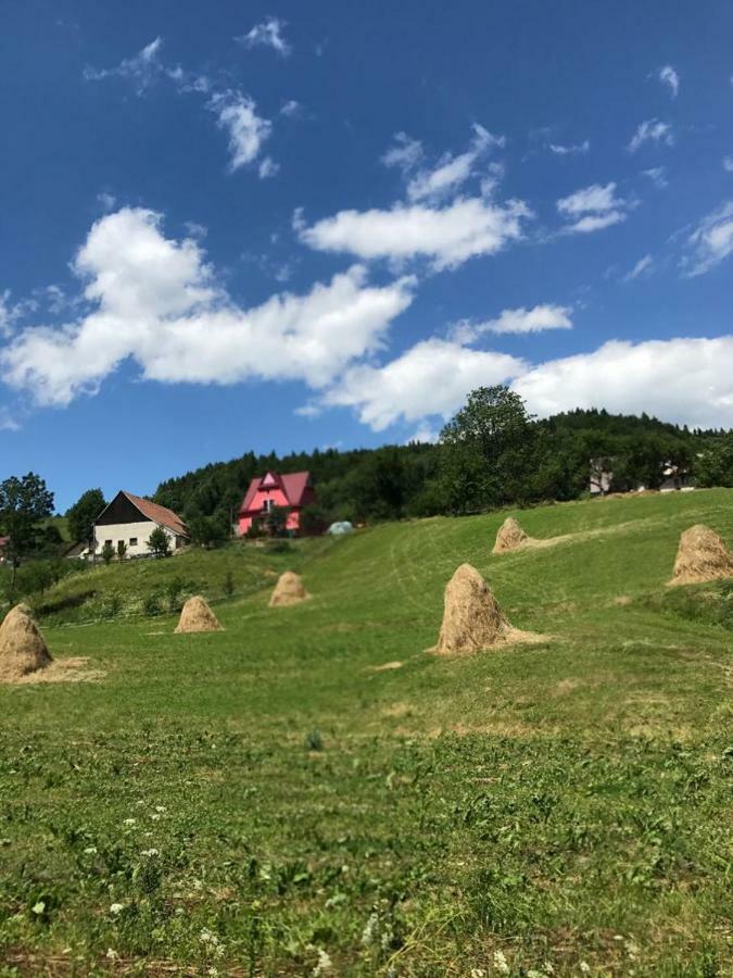 Malinowy Domek Mlynczyska Exteriör bild